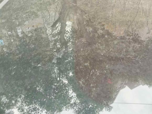 [南昌·赣A] 二手魏牌魏牌 VV52017款 2.0T 超豪型