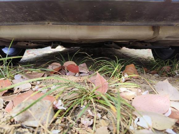 [合肥·皖A] 二手奥迪奥迪A6L2020款 40 TFSI 豪华动感型