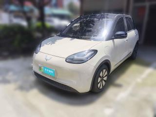 五菱汽车五菱缤果2023款 333km 悦享款