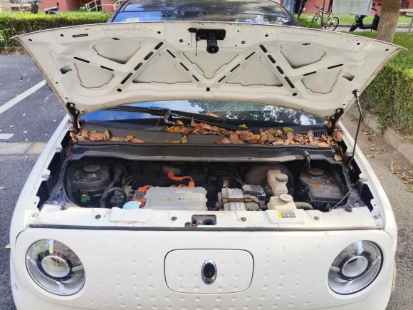 [上海·沪A] 二手欧拉欧拉黑猫2019款 351km 灵智版