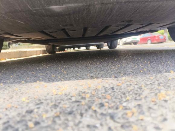 [上海·苏F] 二手比亚迪海鸥2024款 荣耀版 305km 自由版