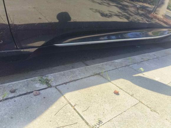 [上海·沪F] 二手本田雅阁2018款 260TURBO 精英版 国V