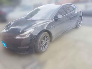 特斯拉Model 32019款 长续航全轮驱动版