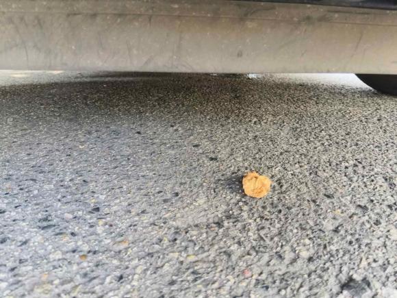 [成都·川A] 二手日产轩逸2018款 1.6XV CVT尊享版