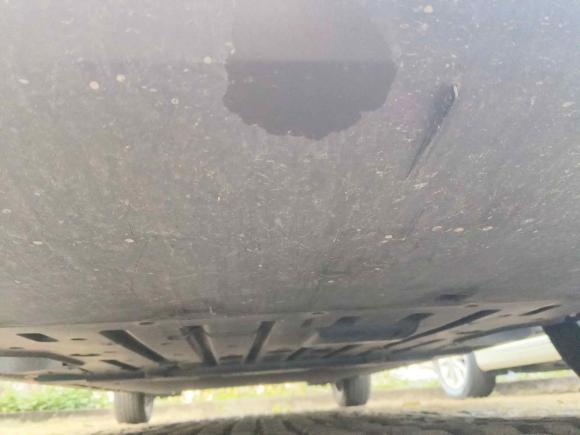 [广州·粤B] 二手比亚迪海豚2023款 420km 自由版