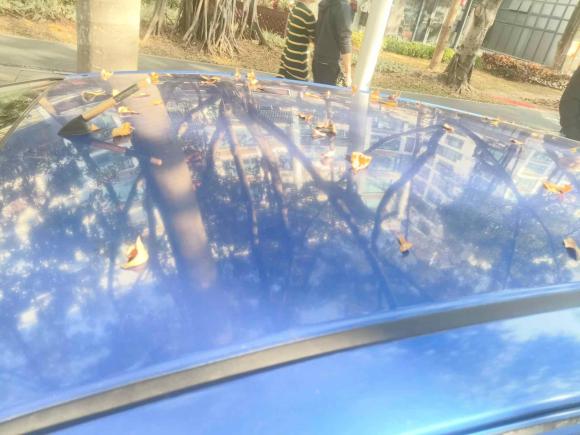 [深圳·粤B] 二手本田飞度2014款 1.5L LX CVT舒适型