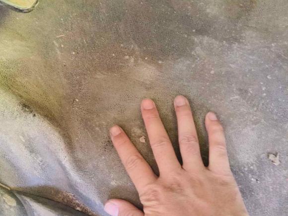 [嘉兴·浙F] 二手金杯金杯快运2018款 2.0L标准型V19