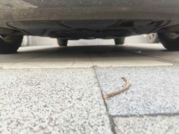 [嘉兴·浙F] 二手大众高尔夫2014款 1.4TSI 豪华旅行版