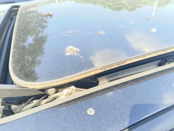 [南昌·赣M] 二手宝骏宝骏RM-52019款 1.5T CVT 24小时在线豪华型 6座