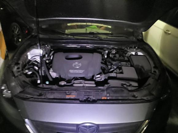 [成都·川G] 二手马自达马自达3 昂克赛拉2016款 三厢 1.5L 自动舒适型