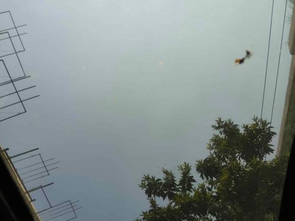 [上海·皖M] 二手丰田丰田C-HR2018款 2.0L 领先天窗版 国VI