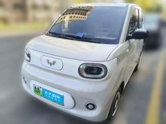[济南·鲁A]五菱汽车&nbsp;&nbsp;宏光MINIEV&nbsp;&nbsp;2024款 第三代 215km 青春版