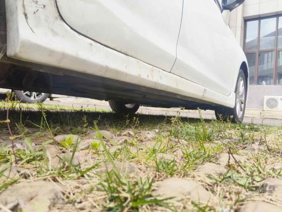 [青岛·鲁B] 二手本田思域2012款 1.8L 自动豪华版