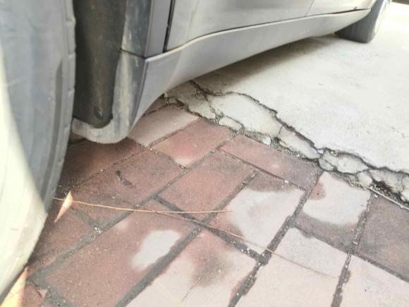 [青岛·浙A] 二手特斯拉Model Y2022款 后轮驱动版