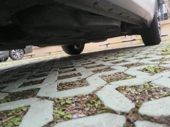 [上海·沪G] 二手雷克萨斯雷克萨斯NX2016款 200t 全驱 F SPORT