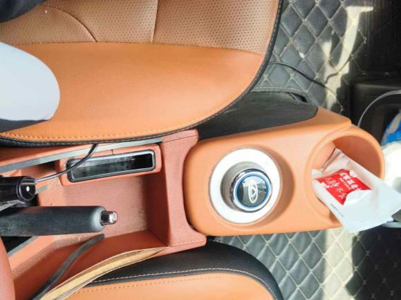 [上海·沪A] 二手奇瑞新能源小蚂蚁2018款 400 4座智享版