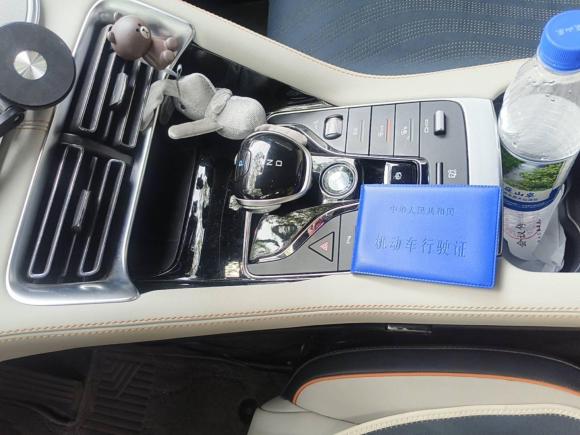 [上海·沪A] 二手比亚迪宋PLUS新能源2021款 EV 尊贵型