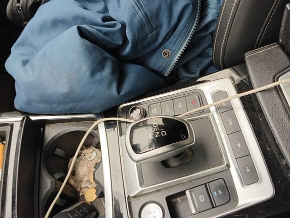 [上海·沪A] 二手比亚迪秦Pro新能源2019款 DM 超能版 1.5TI 自动智联劲炫型 国VI