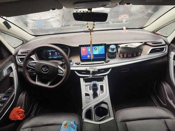 [成都·川A] 二手睿蓝汽车枫叶80v2021款 优行版 三元锂