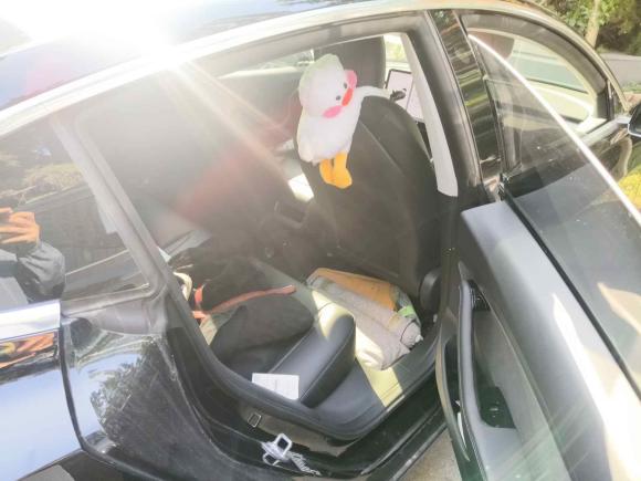 [上海·沪A] 二手特斯拉Model 32019款 标准续航后驱升级版