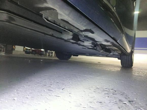 [上海·沪A] 二手比亚迪海豚2021款 405km 自由版