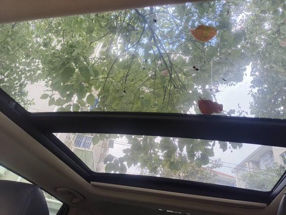 [上海·鄂L] 二手本田本田CR-V2021款 240TURBO CVT两驱舒适版