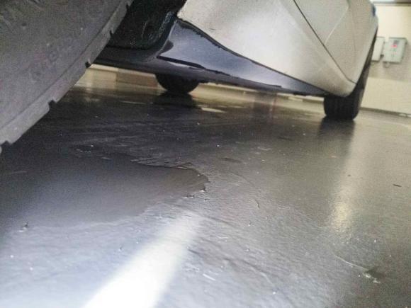 [上海·沪A] 二手特斯拉Model 32021款 标准续航后驱升级版 3D6