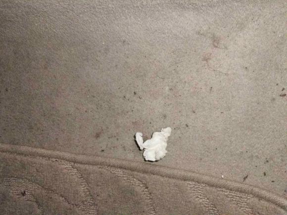 [成都·川A] 二手福特福克斯2011款 两厢 1.8L 自动时尚型