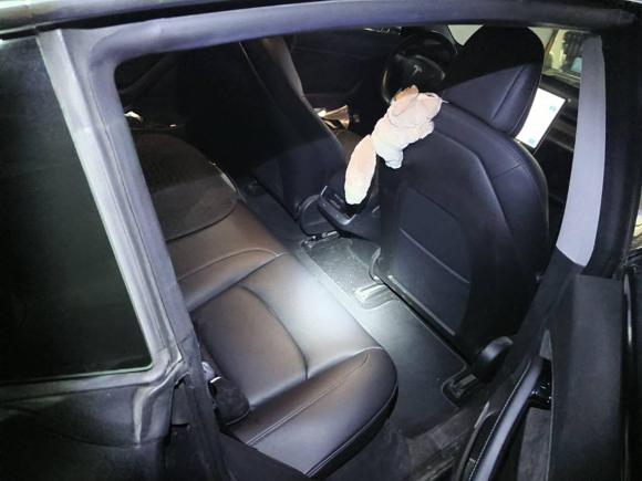 [上海·沪A] 二手特斯拉Model 32019款 长续航后驱版