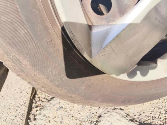 [上海·沪M] 二手日产骊威2010款 劲悦版 1.6L 自动全能型