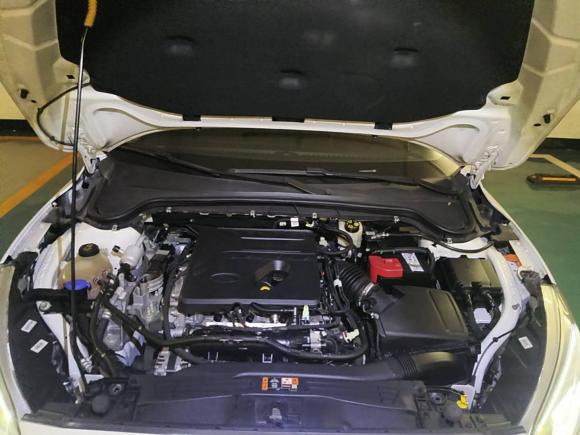 [广州·粤A] 二手福特福克斯2019款 两厢 EcoBoost 180 自动锋耀型