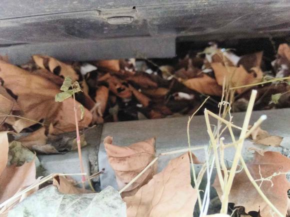 [青岛·鲁B] 二手别克君威2017款 20T 精英型