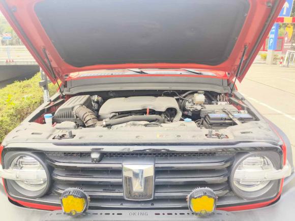 [佛山·粤E] 二手坦克坦克3002023款 越野版 2.0T 征服者