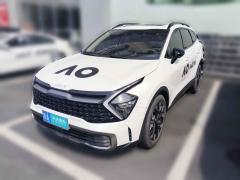 [杭州·浙A] 起亚狮铂拓界2023款 2.0T 两驱尊贵版