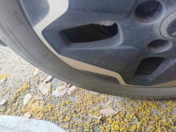 [义乌·浙G] 二手比亚迪海豚2021款 405km 时尚版