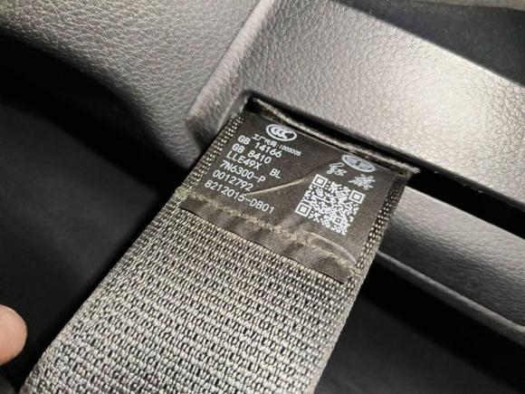 [南通·苏F] 二手红旗红旗H92020款 2.0T 智联旗畅版