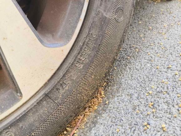 [上海·沪G] 二手本田思域2016款 220TURBO CVT豪华版