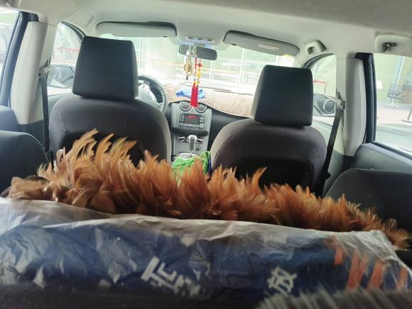 [杭州·浙A] 二手日产逍客2012款 2.0XL 火 CVT 2WD