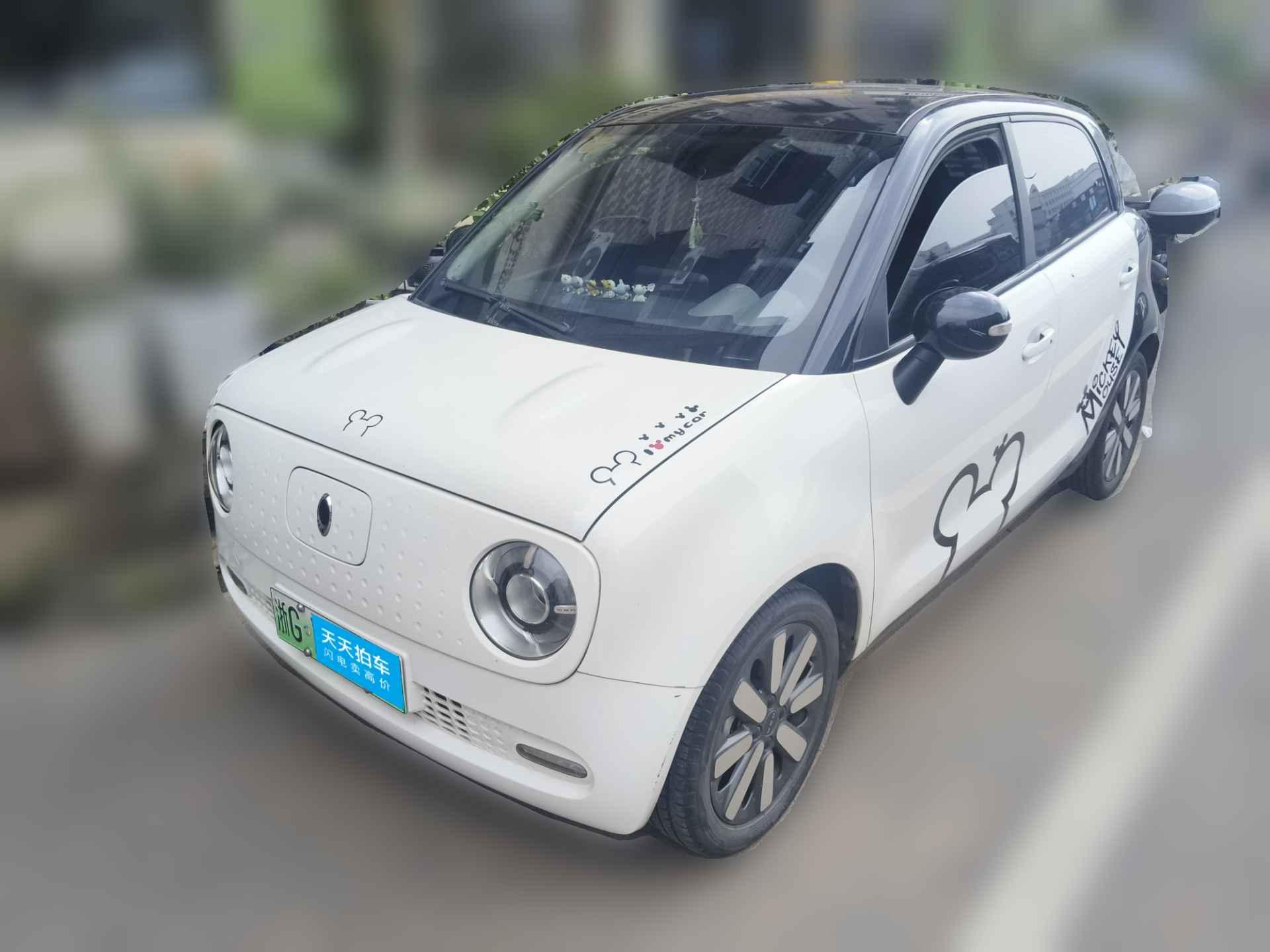 [金华·浙G] 欧拉欧拉黑猫2021款 351km 标准型