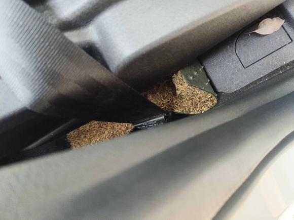 [常州·苏D] 二手福特翼虎2015款 1.5L GTDi 两驱风尚型