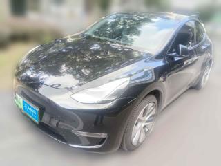 特斯拉Model Y2021款 标准续航后驱版
