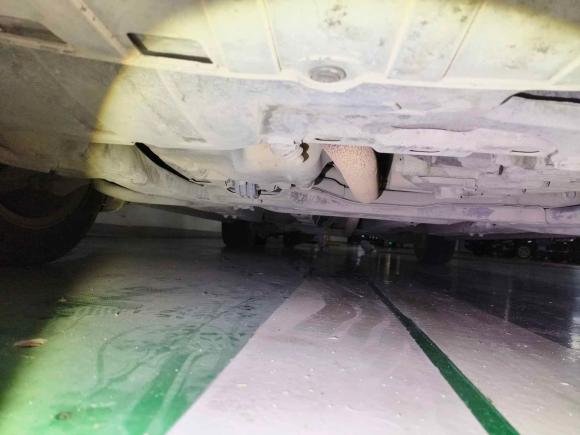 [武汉·鄂A] 二手本田思域2009款 1.8L 自动豪华版