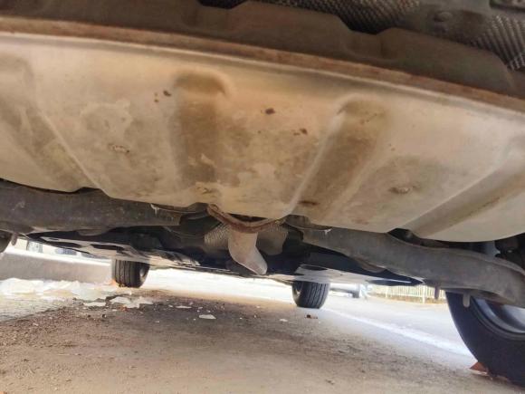 [青岛·鲁U] 二手马自达马自达CX-42020款 2.0L 自动两驱蓝天品位版