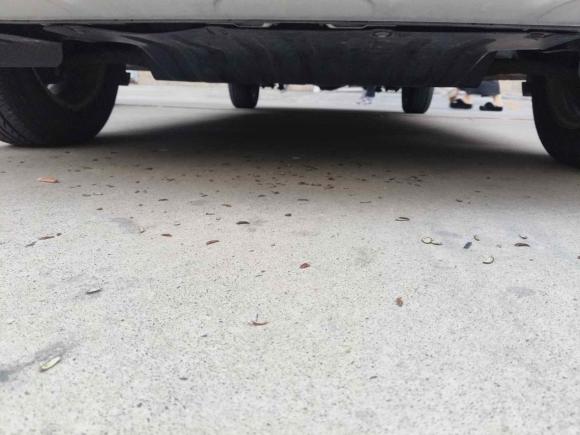 [苏州·苏E] 二手长安凯程欧诺S2019款 1.5L欧诺S标准型国VI JL473QG