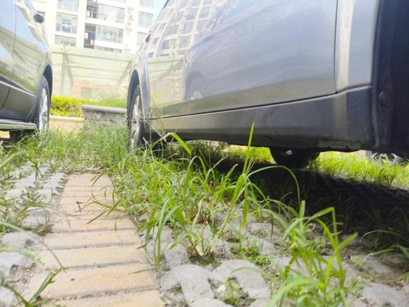 [青岛·鲁U] 二手斯巴鲁傲虎2011款 2.5i豪华版