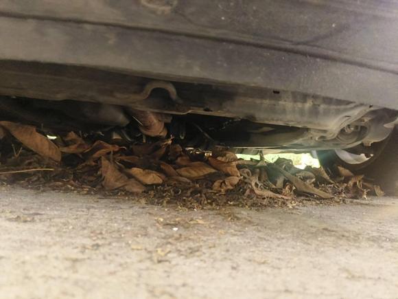 [深圳·粤B] 二手本田雅阁2015款 2.0L LX 舒适版