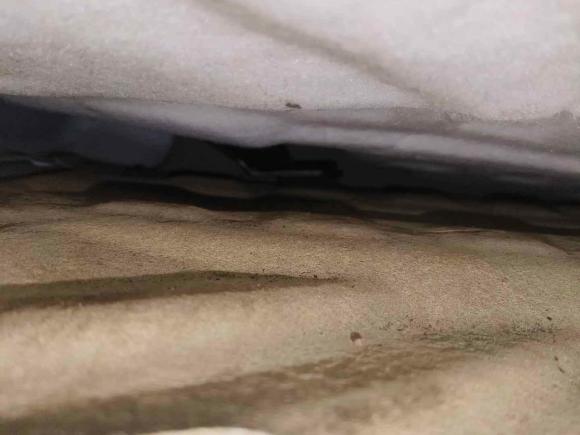 [南昌·赣A] 二手哈弗哈弗H62018款 运动版 1.5T 自动两驱精英型 国V