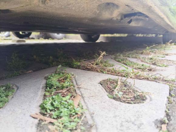 [广州·粤A] 二手宝马宝马5系2014款 525Li 豪华设计套装