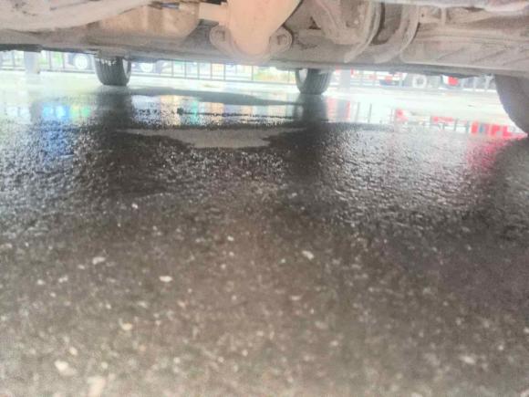 [杭州·浙A] 二手铃木雨燕2013款 1.5L 自动标准版