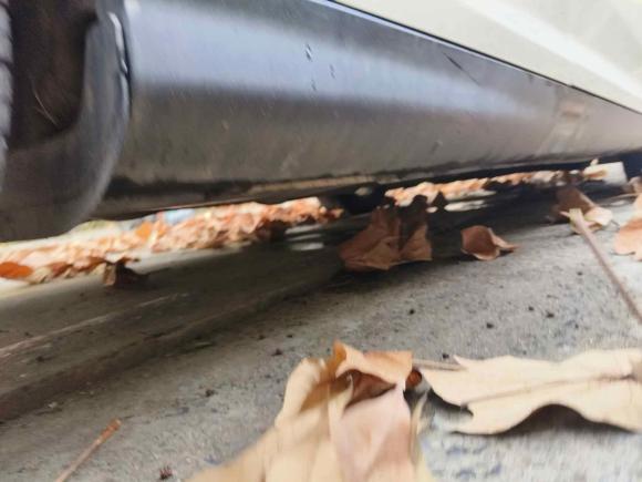 [上海·沪D] 二手福特福克斯2015款 两厢 EcoBoost 125 自动超能风尚型